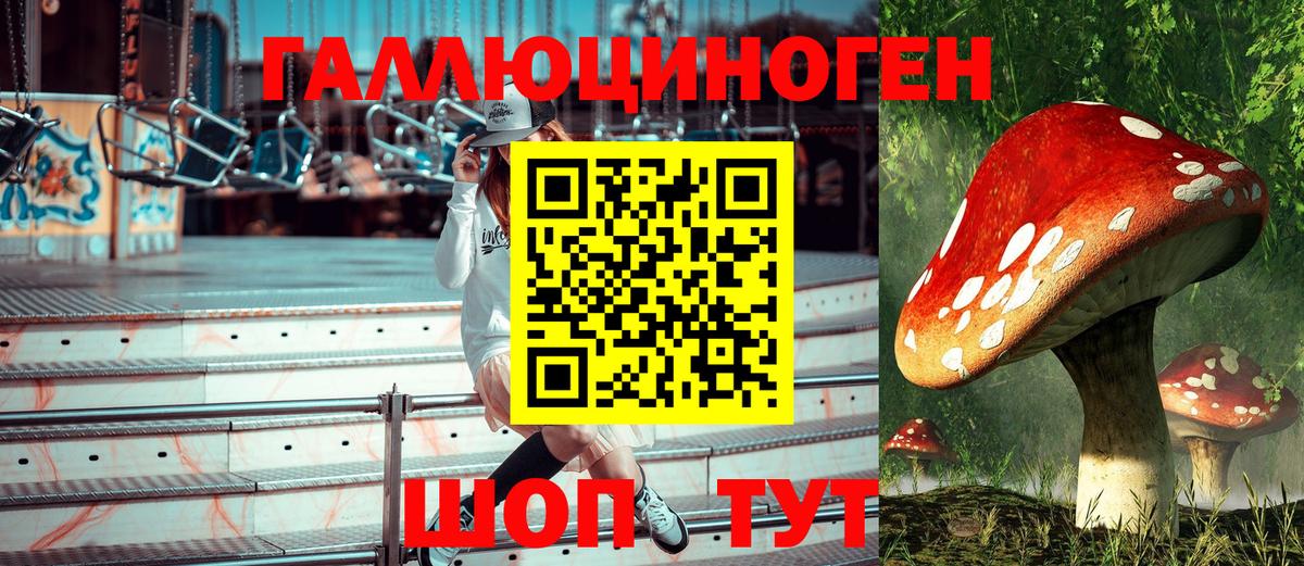 Псилоцибиновые грибы MAGIC MUSHROOMS  Вход с VPN  Кунгур 